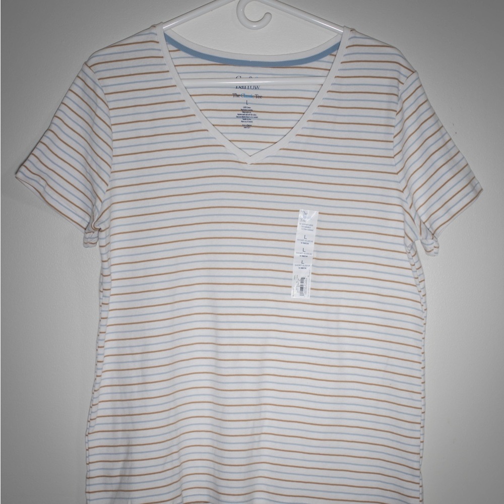 Croft & Barrow Blue and Brown Striped Tee